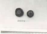 Click for 1 image(s) for this accession. FRUIT